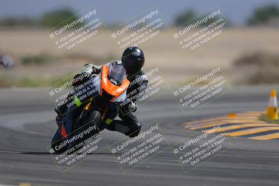 media/Sep-30-2023-SoCal Trackdays (Sat) [[636657bffb]]/Turn 15 (1120am)/